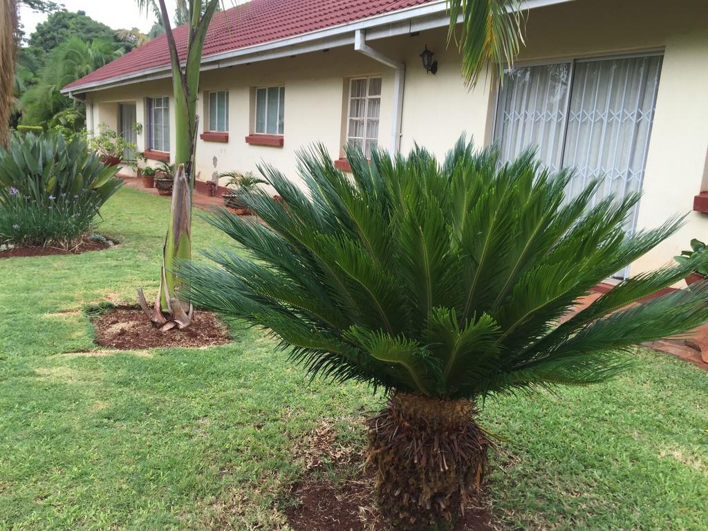 הארארה Palm Villa מראה חיצוני תמונה