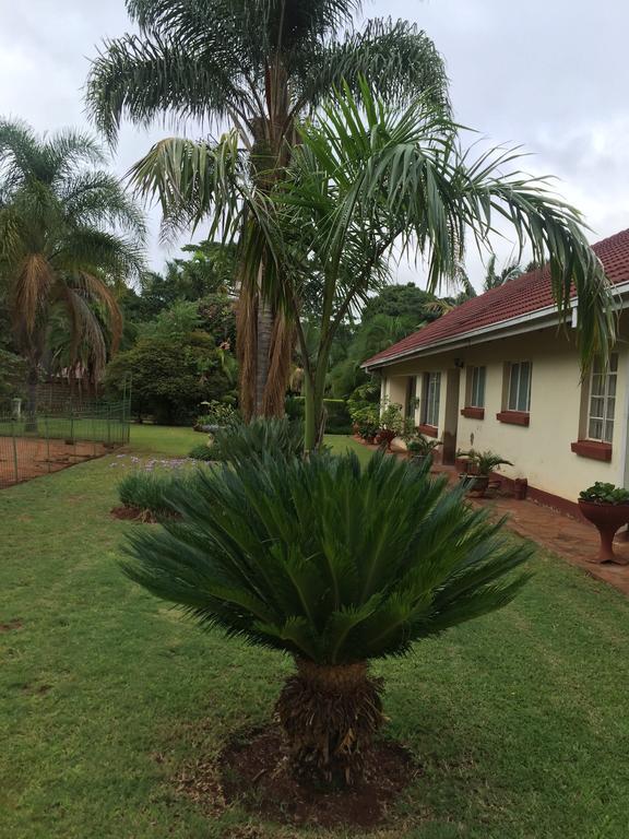 הארארה Palm Villa מראה חיצוני תמונה